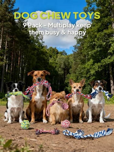Dog Rope Toy 9 Pack (Blue / Mini/Small)