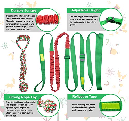 Outdoor Bungee Tug Toy (Red+Green)