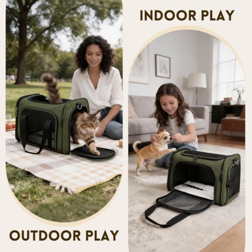 Cat Carrier Soft (Green / 17.0"L x 11.0"W x 11.0"H)