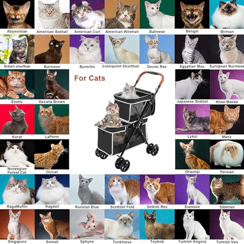 Double Pet Stroller for 2 Dogs & Cats (Black)