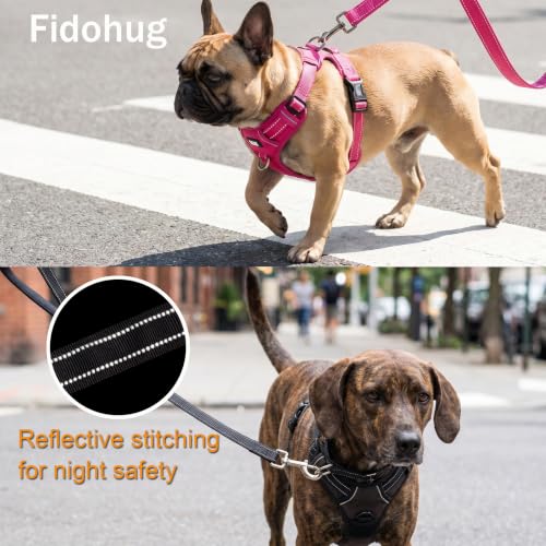 Bungee Dog Leash 5FT (Hot Pink / 5FT-6FT)