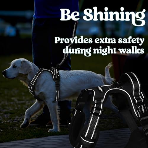 Dog Harness for Large (Large / Black)