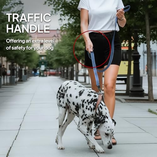 5FT 1IN Heavy Duty Dog Leash for Large Dogs with 2 Padded Handles (Ultramarine / 1 in x 5 ft)