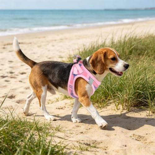 Dog Harness Collar and Leash Set No Pull for Small Medium Sized (Pink / M (CHEST 16"-18"))