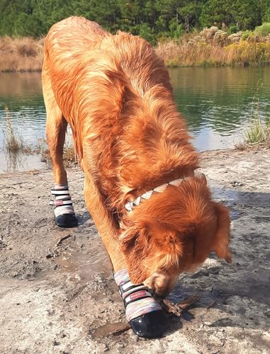 All Weather Neoprene Paw Protector Dog Boots with Reflective Straps in 5 Sizes! (XL)