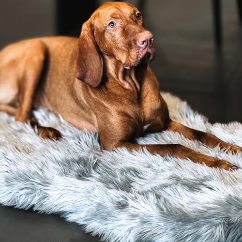 Faux Fur Orthopedic Dog Bed (Grey / Large/Extra Large)