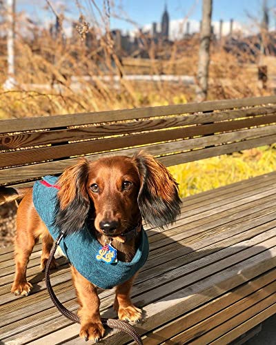 Zip Up Fleece Dog Sweater (Small chest (~13.5") / Turquoise Wash)