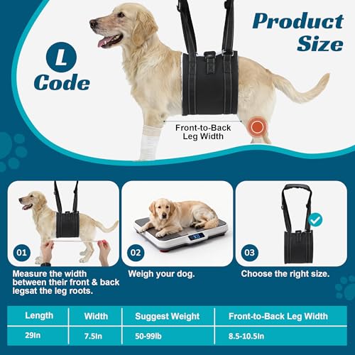 Dog Sling Adjustable Dog Lift Harness for Rear Legs (Large)