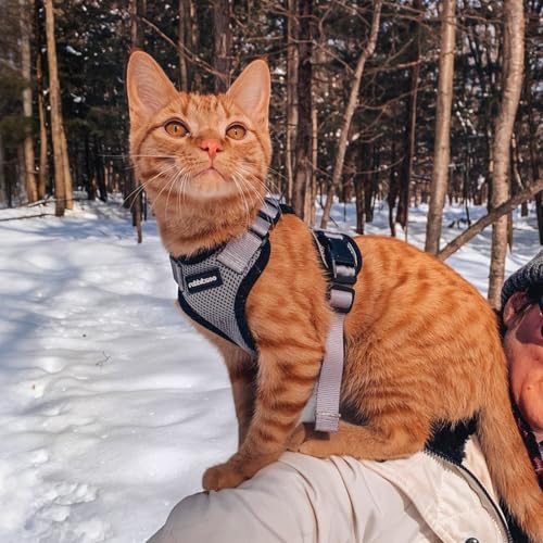 Cat Harness and Leash Set (M / Grey)