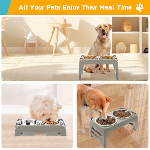 Elevated Dog Bowls for Small Dogs 3 Height Adjustable Raised Dog Bowl Stand with 25oz Stainless Steel Food Bowls Anti (Light Brownish Gray / 6" for Small Dogs)