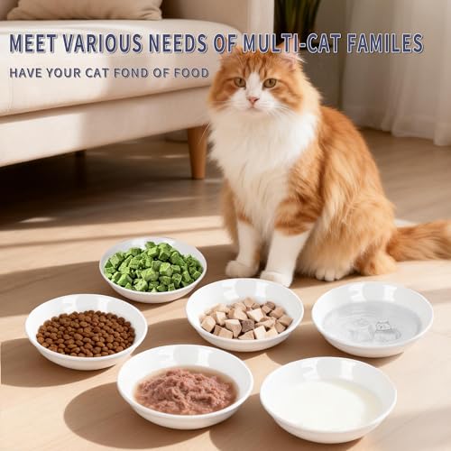 Non Slip Cat Food Bowls (cute drawing cat)