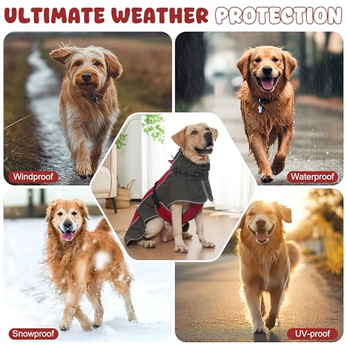 Dog Raincoat Waterproof Dog Coat with Polar Fleece Lining (Red / Large)