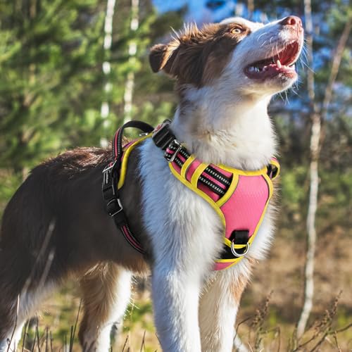Dog Harness Medium Sized (Pink & Yellow / Medium)