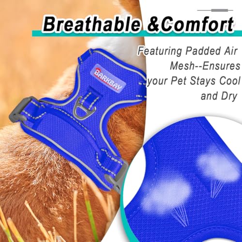 Dog Harness for Small Sized Dog No Pull Mesh 2 Clips Dog Vest (X-Small / Sapphire Blue-Mesh)