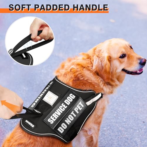 Service Dog Harness and Leash Set (Small / Black)