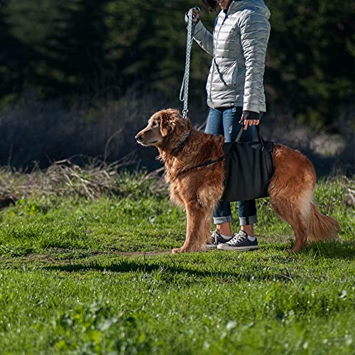 Walkabelly Support Sling (XL Walkabelly)