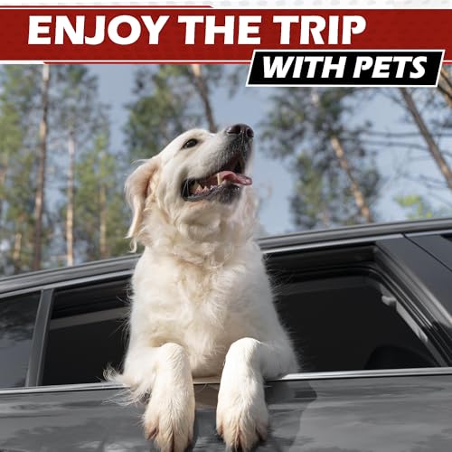 Universal Dog Car Net Barrier (Black)
