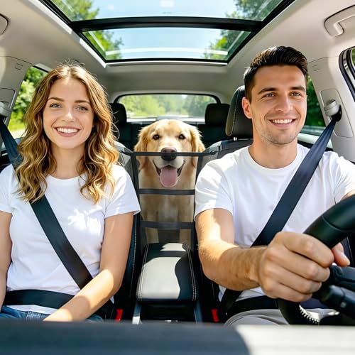 Dog Car Barrier (Black)