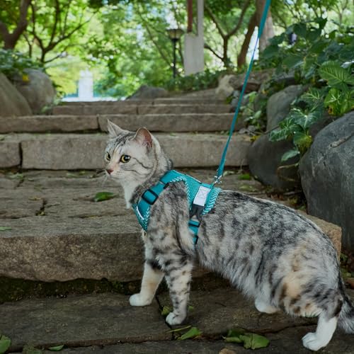 Cat Harness and Leash Set (Turquoise / XX-Large)