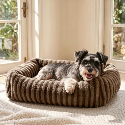 Dog Bed for Medium Small Size Dog (Brown / S Plus(25"Lx21"Wx7"Th))