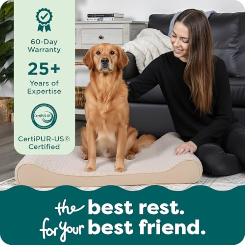 Orthopedic Dog Bed for Large Dogs (Jumbo/XL / Cream)