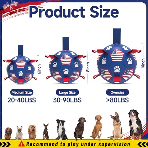 Dog Balls with Straps (Flag / 9 Inch)