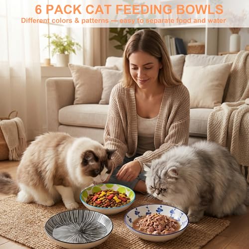 Ceramic Cat Food Bowls with Metal Holder (Classic Colors + Metal Stand)