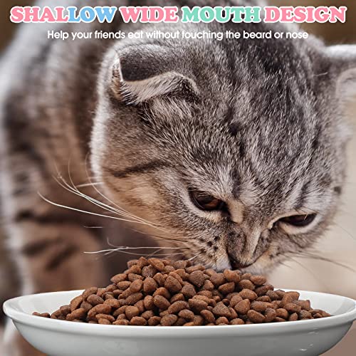 10 Pcs Ceramic Cat Bowl Whisker Fatigue 6 Inch Set