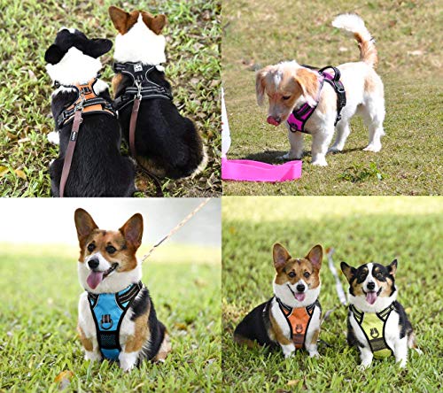 No Pull Dog Harness Small with Front Clip & Neck Release Buckle (S / Orange)