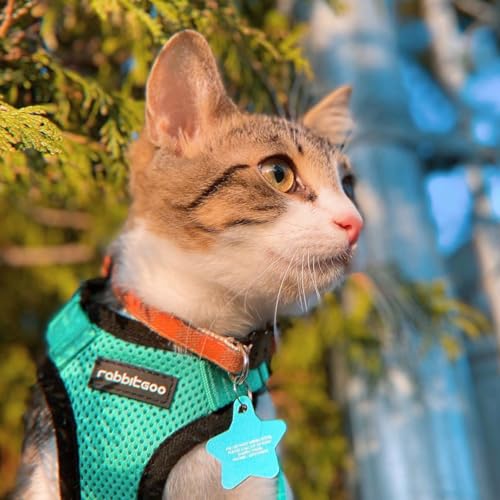 Cat Harness and Leash Set (S / Emerald)