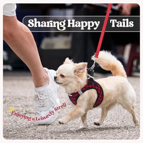 Dog Harness Medium Sized and Leash Set (Red Check / M (chest: 16 - 18.5"))