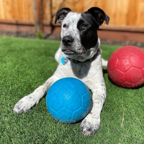 Large Soccer Ball Floating (8 Inch Diameter / Ocean Blue)