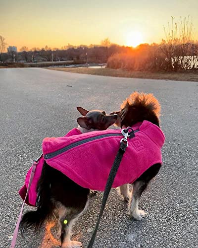 Zip Up Fleece Dog Sweater (X-Large chest (~22.5") / Pink)