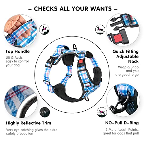 Plaid Dog Harness Small (S / Checkered Blue & Red)