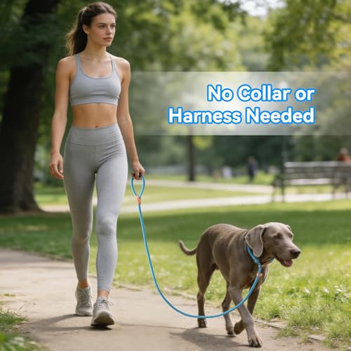 Heavy Duty Slip Lead No Pull Leash 6 (Blue / 4 Feet)
