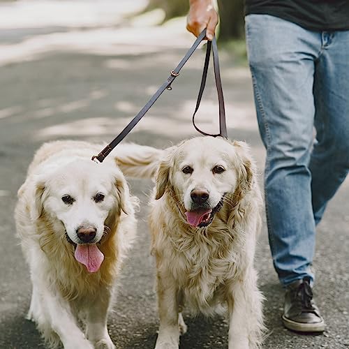 Hands Free Leather Dog Leash 8ft - PetSolution