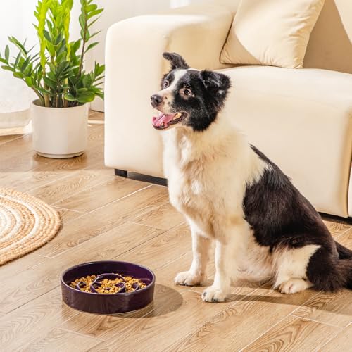 Slow Feeder Dog Bowl (L - 3 Cups / Dark Purple)