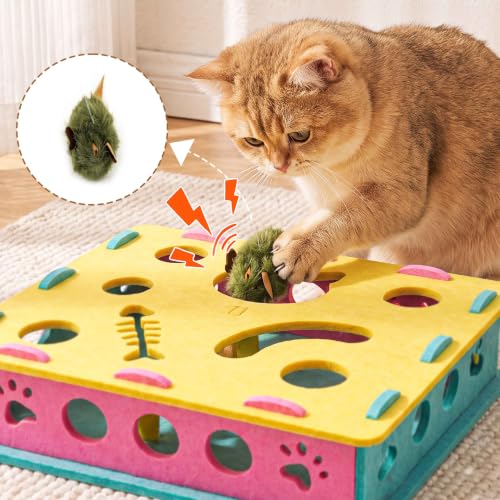 21 Pcs Interactive Cat Toys for Indoor Cats (Modern (only puzzle box))