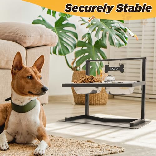 Elevated Dog Bowls