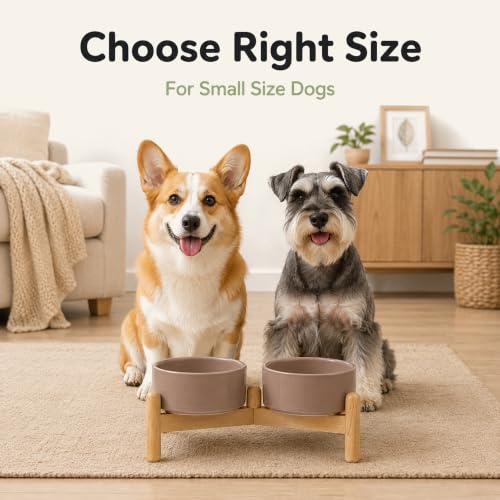 Ceramic Dog Bowls Elevated (Brown Coffee)