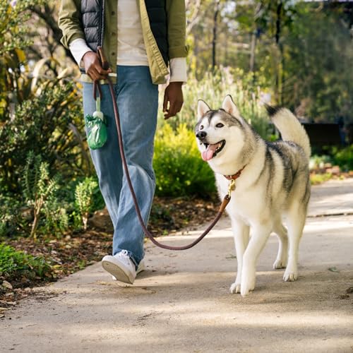 Dog Poop Bag Holder (1 Dispenser, 900 Bags / Unscented)