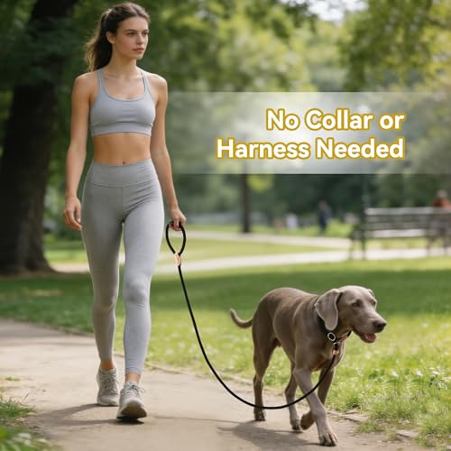 Heavy Duty Slip Lead No Pull Leash 6 (Black / 5 Feet)