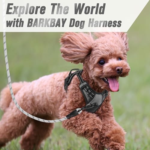 Dog Harness No Pull for Small Sized Dog Front Back Clips (X-Small(Chest:15.5-19.5”) / Dark Grey)