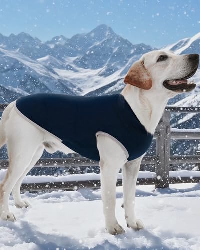 4 Pack Fleece Dog Sweaters Vest Soft Lightweight Breathable Doggie Clothes for Small Medium Large Dogs Boy Winter Warm Pet Pullover Jacket Sweatshirt Puppy Coat (Small(Chest-13.8") / Grey, Navy, Teal, Blue)