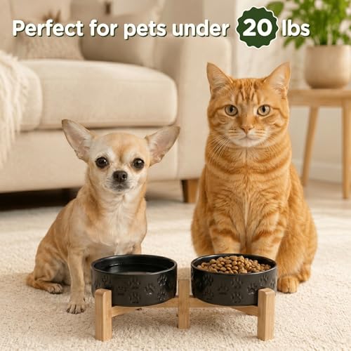 Elevated Dog Bowls Ceramic (5.1 in - 1.7 cups / Paw Black)