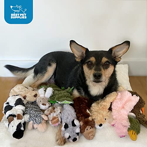 2-in-1 Stuffless Squeaky Dog Toy - Fox, Raccoon, Small (Multicolor/Raccoon & Fox / Small)