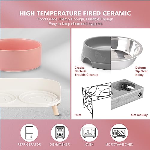 Raised Cat Food and Water Bowl Set (Pink / Small)