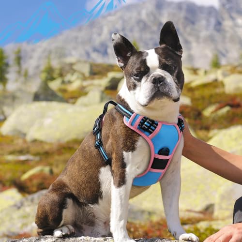Dog Harness for Medium Sized Dogs (Medium / Pink & Sky Blue)