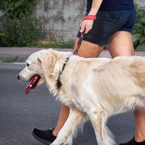 Reflective Short Dog Leashes 3 Pack for Walking and Training (Red / 1FT+1.5FT+2.5FT)
