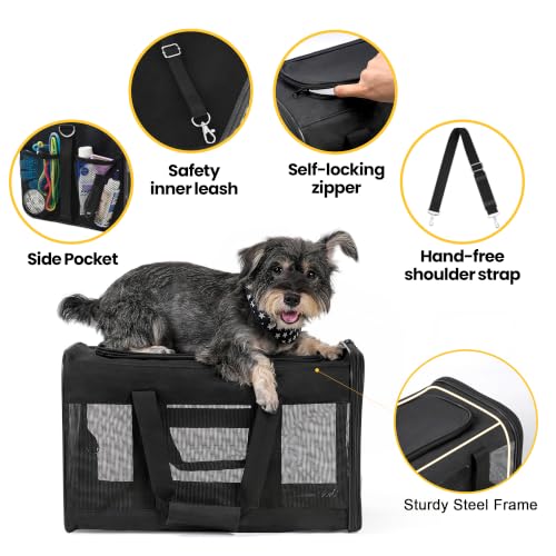 Cat Carrier Soft (Black / 17.0"L x 11.0"W x 11.0"H)